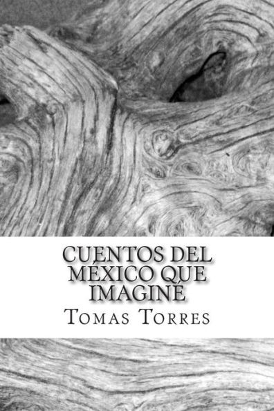 Cuentos del México que imaginé