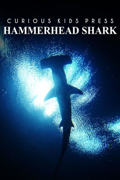 Hammerhead Shark - Curious Kids Press: Kids book about animals and ...