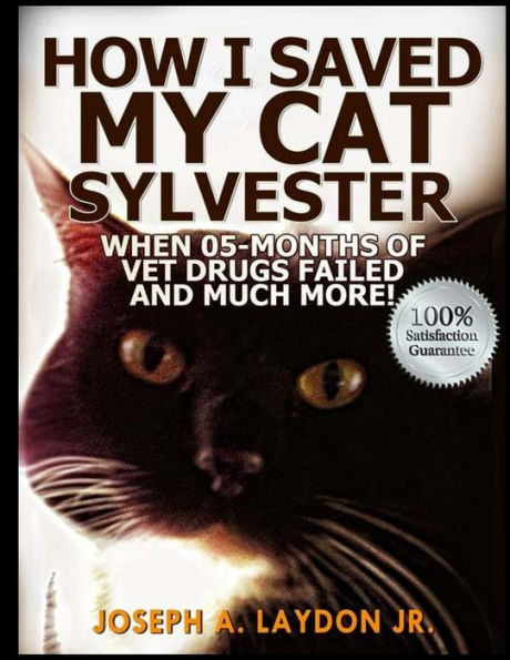 How I Saved My Cat Sylvester When 05-Months Of Vet Drugs Failed And Much More!?