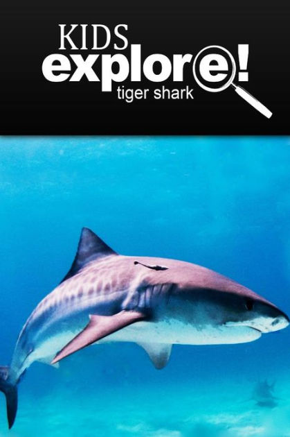 Tiger Shark - Kids Explore: Animal books nonfiction - books ages 5-6 by ...