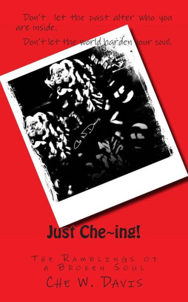 Just Che ing!: Ramblings of Broken Soul