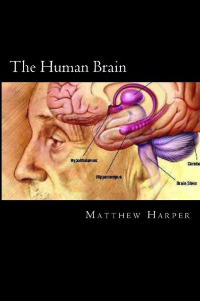 The Human Brain: A Fascinating Book Containing Human Brain Facts, Trivia, Images & Memory Recall Quiz: Suitable for Adults & Children