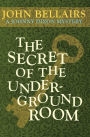 The Secret of the Underground Room