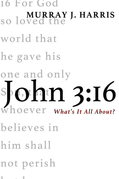 John 3:16: What's It All About?