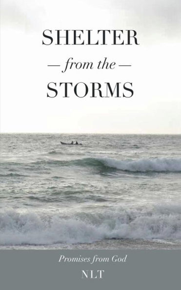 Shelter from the Storms; Promises God