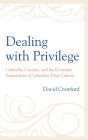 Dealing with Privilege: Cannabis, Cocaine, and the Economic Foundations of Suburban Drug Culture