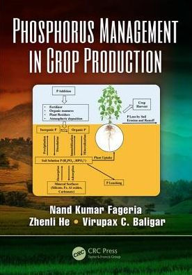 Phosphorus Management in Crop Production / Edition 1