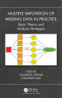 Multiple Imputation of Missing Data in Practice: Basic Theory and Analysis Strategies / Edition 1
