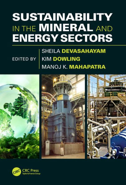 Sustainability in the Mineral and Energy Sectors / Edition 1