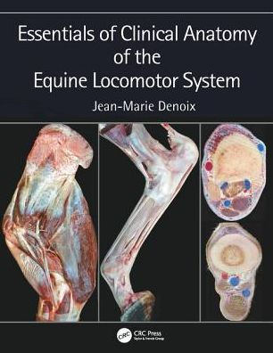 Essentials of Clinical Anatomy of the Equine Locomotor System / Edition 1