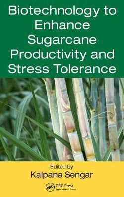 Biotechnology to Enhance Sugarcane Productivity and Stress Tolerance / Edition 1