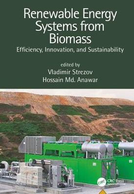 Renewable Energy Systems from Biomass: Efficiency, Innovation and Sustainability / Edition 1