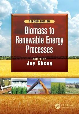 Biomass to Renewable Energy Processes / Edition 2