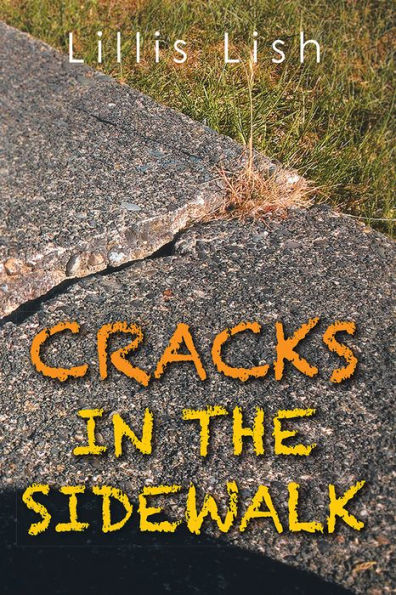 CRACKS IN THE SIDEWALK