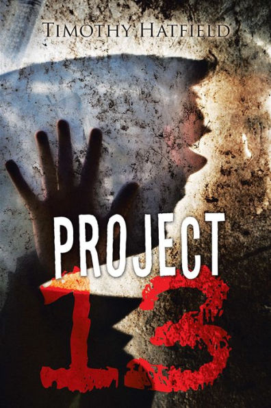 Project 13