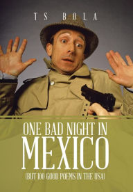 Title: One Bad Night in Mexico: (But 100 Good Poems in the USA), Author: Ts Bola