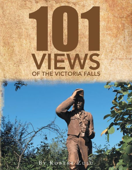 "One Hundred and One" Views of The Victoria Falls