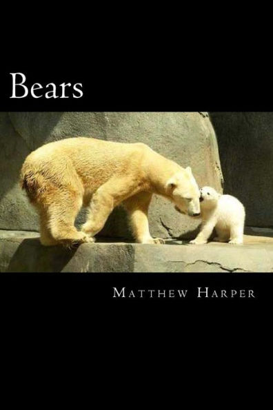 Bears: A Fascinating Book Containing Bear Facts, Trivia, Images & Memory Recall Quiz: Suitable for Adults & Children