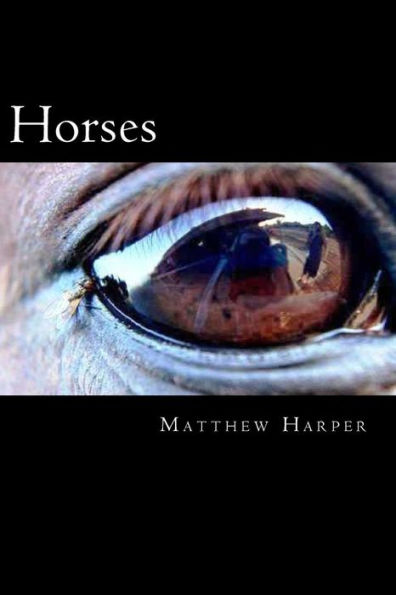 Horses: The Essential Guide To Horses For Kids