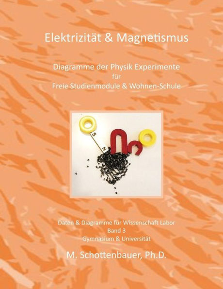 Elektrizität & Magnetismus: Band 3: Diagramme der Physik Experimente für Freie Studienmodule & Wohnen-Schule
