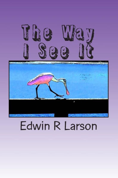The Way I See It: A Collection of Photo Cartoons