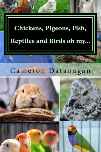 Chickens, Pigeons, Fish, Reptiles and Birds oh my...: Pets of the Hawaii Pet Show aka Ewa Bird Show Hawaii Pet Show series of books by Cameron Datanagan