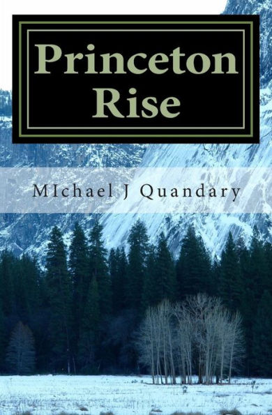 Princeton Rise: A Princeton Roberts Novel