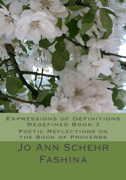 Expressions of Definitions Redefined Book 3: Poetic Reflections on the Book of Proverbs