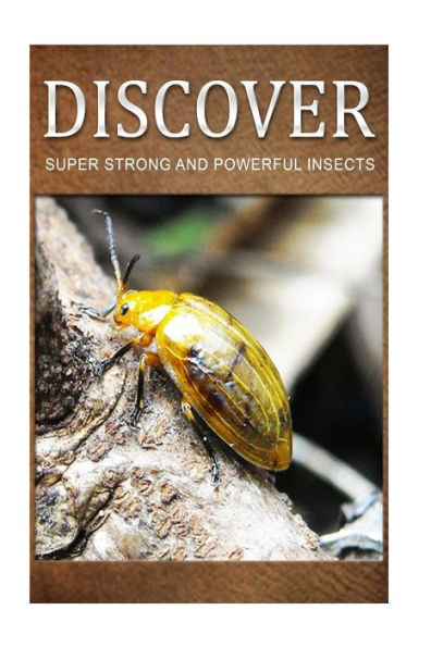 Super Strong and Powerful Insects - Discover: Early reader's wildlife photography book