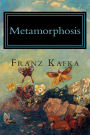 Metamorphosis