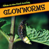 Title: Glowworms, Author: Kristen Rajczak Nelson