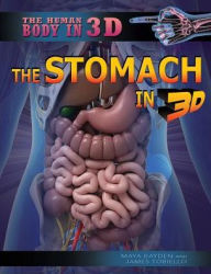 Title: The Stomach in 3D, Author: Maya Bayden