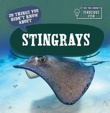 20 Things You Didn't Know About Stingrays