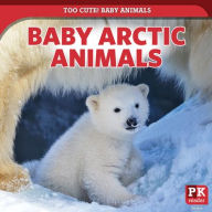 Title: Baby Arctic Animals, Author: Rachael Morlock