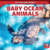 Title: Baby Ocean Animals, Author: Rachael Morlock