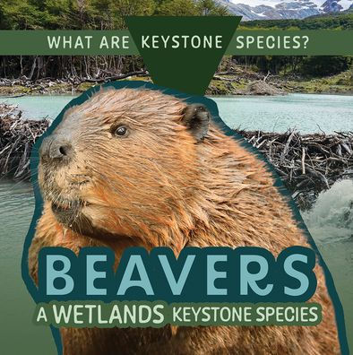 Beavers: A Wetlands Keystone Species