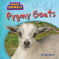 Title: Pygmy Goats, Author: Alix Wood