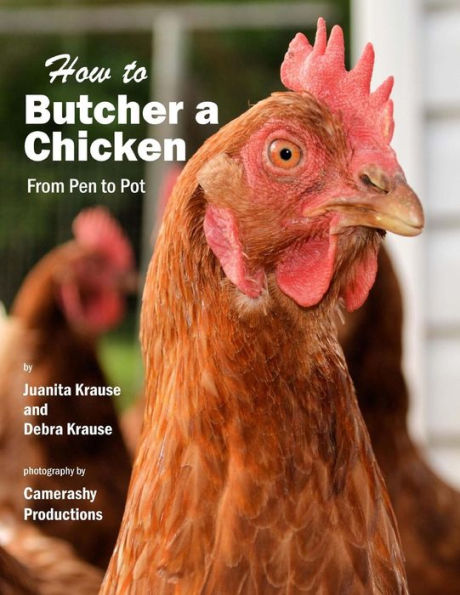 How to Butcher a Chicken: From Pen to Pot