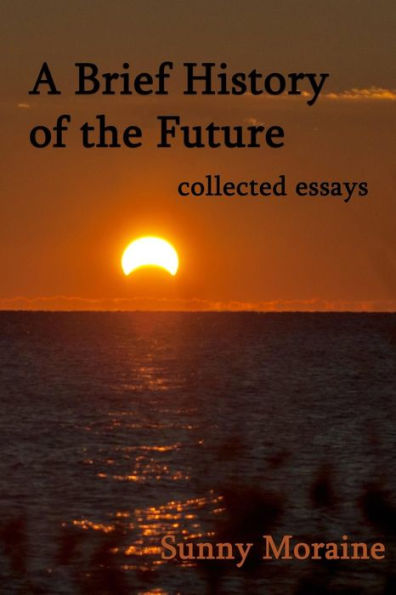 A Brief History of the Future: collected essays