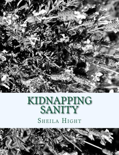 Kidnapping Sanity