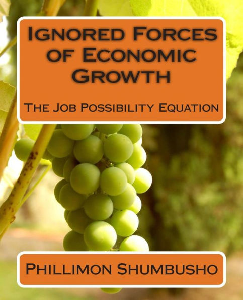 Ignored Forces of Economic Growth: The Job Possibility Equation