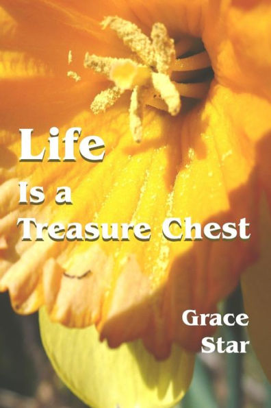 Life Is a Treasure Chest