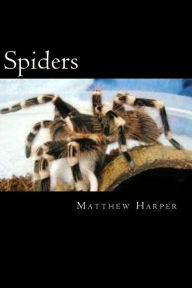 Spiders: A Fascinating Book Containing Spider Facts, Trivia, Images & Memory Recall Quiz: Suitable for Adults & Children