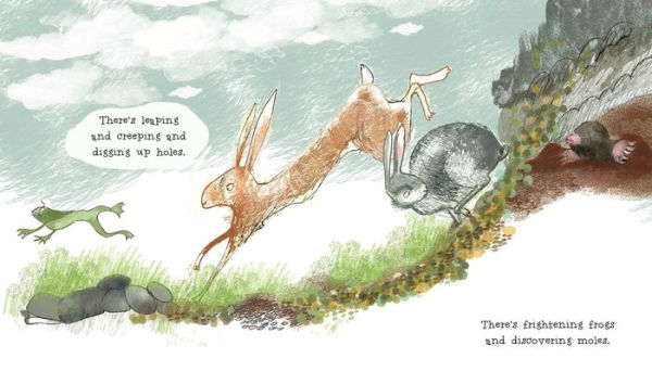 The Wonderful Habits of Rabbits