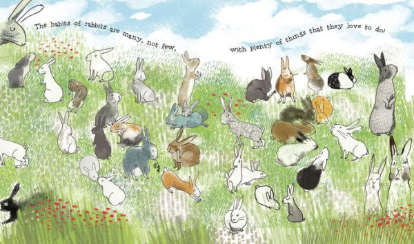 The Wonderful Habits of Rabbits