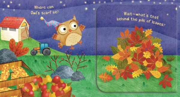 Where Is Owl's Scarf?: A Lift-the-Flap Book
