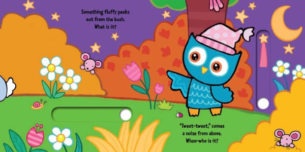 Little Owl Says Goodnight: A Slide-and-Seek Book