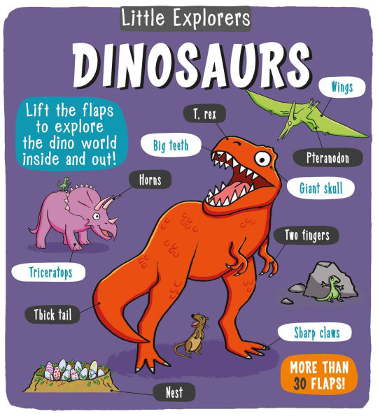 Dinosaurs (Little Explorers Series)