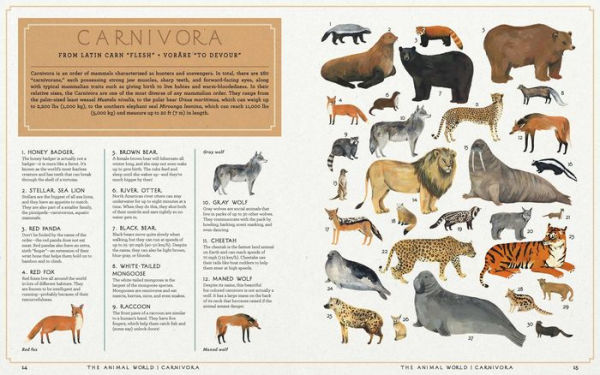 The Animal World: The Amazing Connections and Diversity Found in the Animal Family Tree