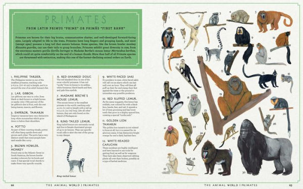 The Animal World: The Amazing Connections and Diversity Found in the Animal Family Tree